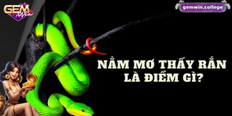 Mơ Thấy Rắn Đánh Con Gì? Gợi Ý Con Số May Mắn Mơ thấy rắn báo hiệu điềm gì?